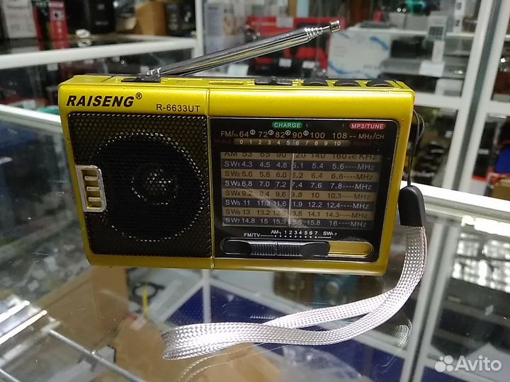Радиоприемник Raiseng R-6633UT