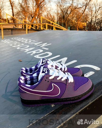 Nike Sb Dunk Purple Lobster