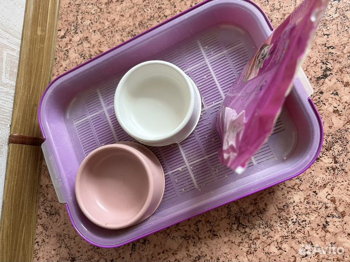 Когтеточка