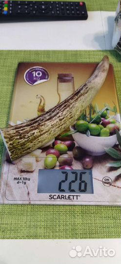 Лакомство для собак