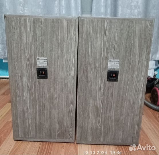 Колонки радиотехника s90D