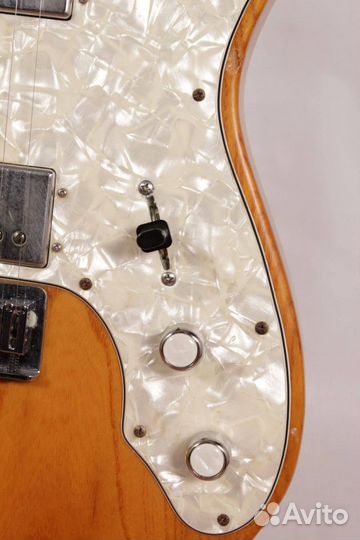 Fender USA Telecaster Thinline 1974 (1)