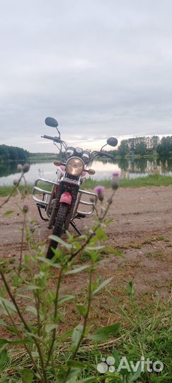 Альфа Rx11