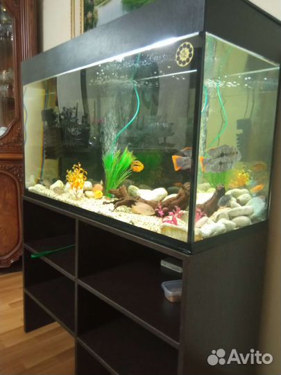 Аквариум