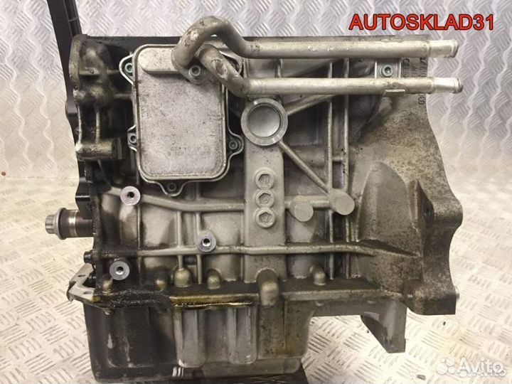Блок двигателя Volkswagen Golf 5 BLP 03C103019G