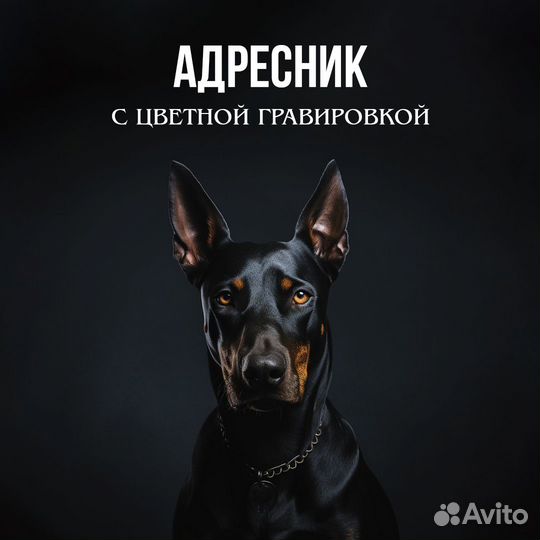 Адресники для собак и кошек с цветной гравировкой
