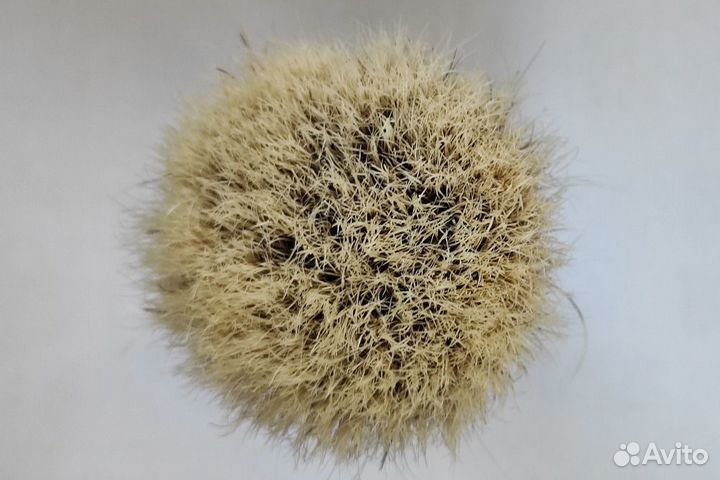 Помазок кабан Semogue, Omega