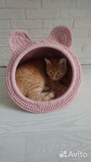 Домик для кошек и собак