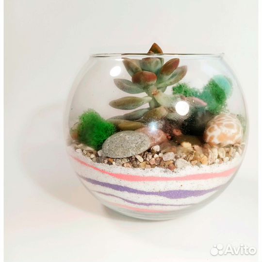 Флорариум с водоемом