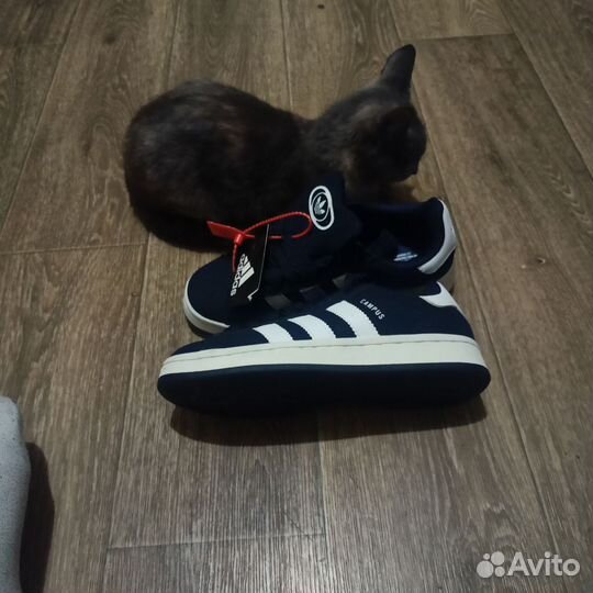 Слипоны adidas