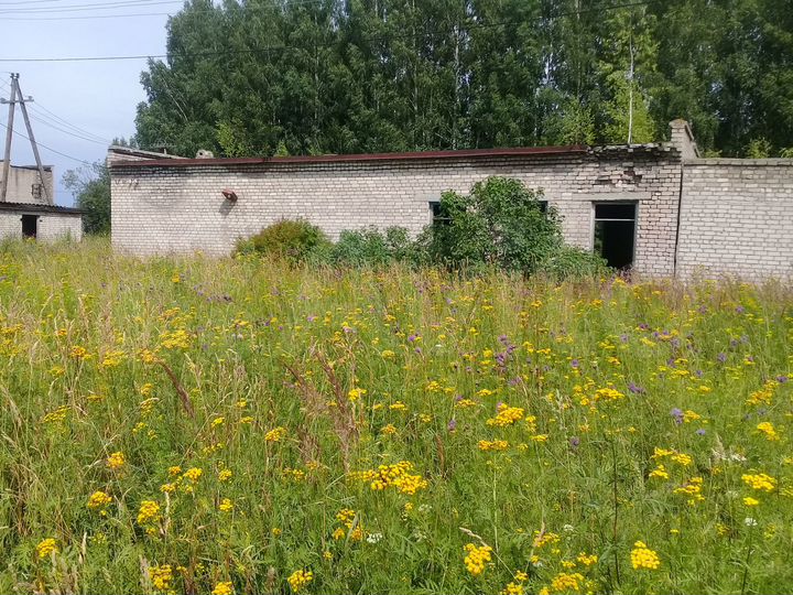 Здание магазина №29, 132.5 м²