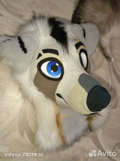 Фурсьют собаки