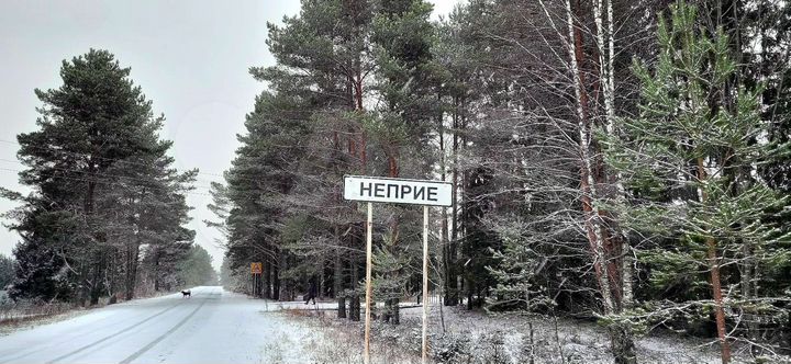 Коттедж 40 м² на участке 4 сот.