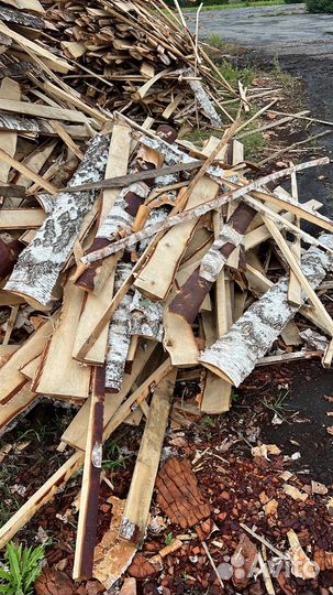 Отдам бесплатно