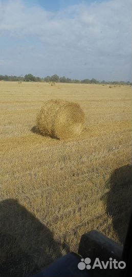 Солома, Сено луговое в тюках