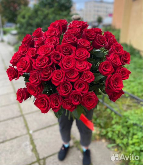 Роза 1 метр