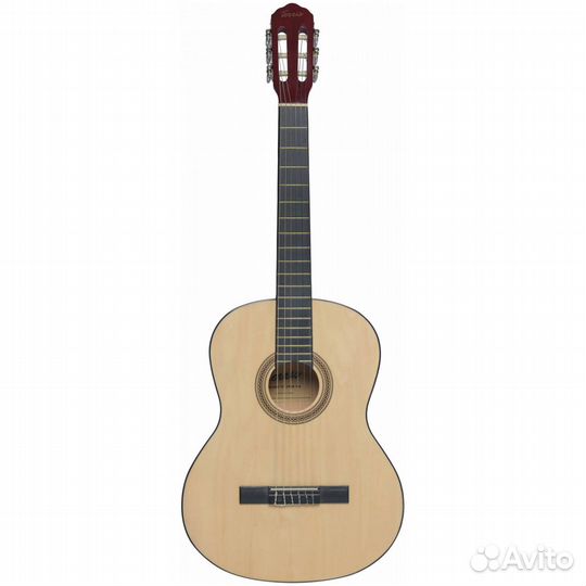 Классическая гитара Terris TC-390A NA