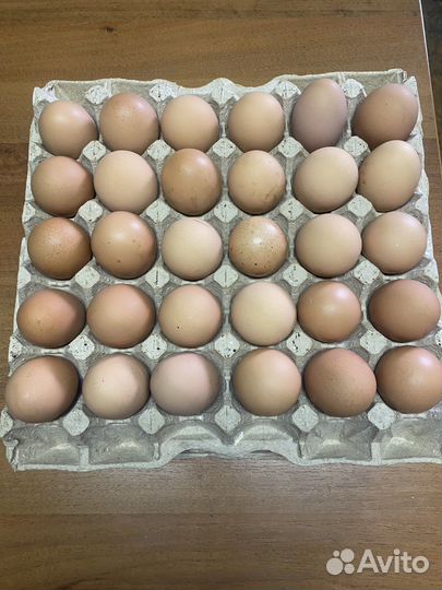 Домашние куриные яйца