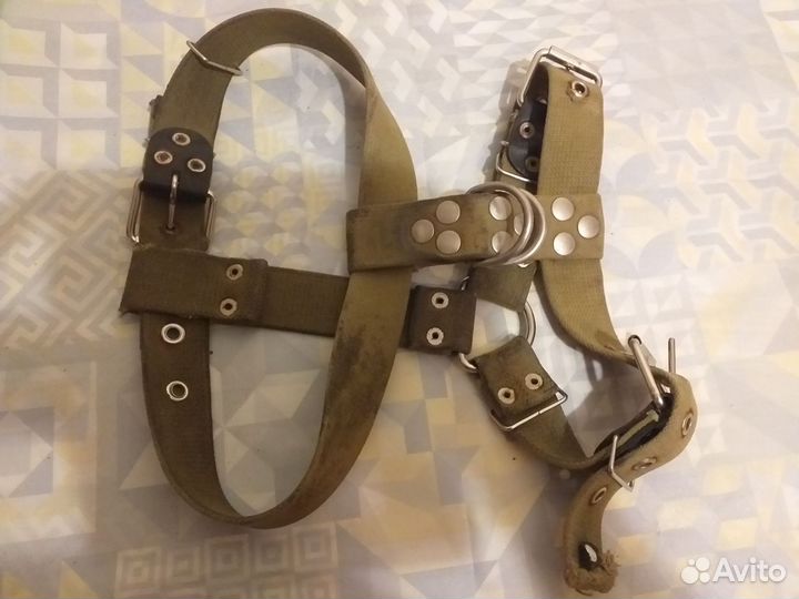 Шлейка для собаки