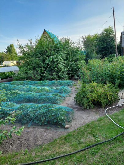 Участок 6,8 сот. (СНТ, ДНП)