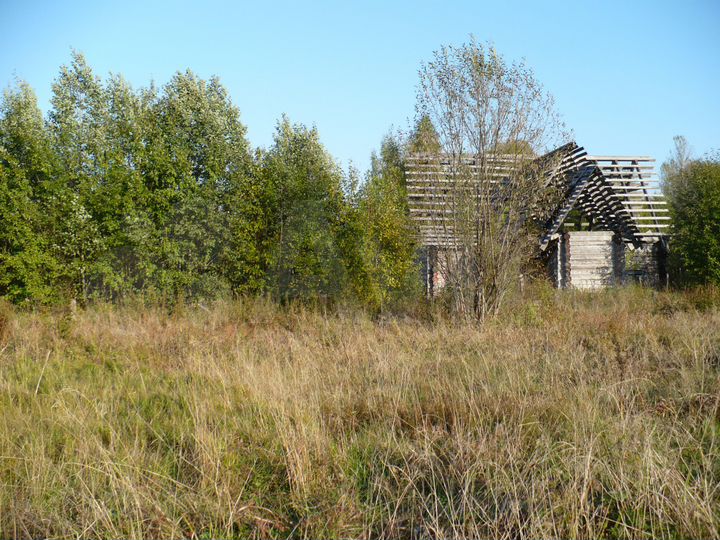 Участки в крестцах. Авито Крестцы недвижимость.