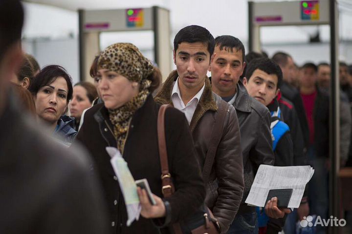 РВП, ВНЖ, гражданство РФ