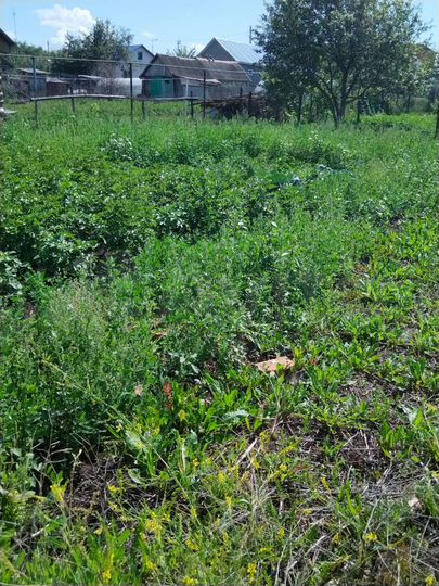 Участок 7,5 сот. (ИЖС)