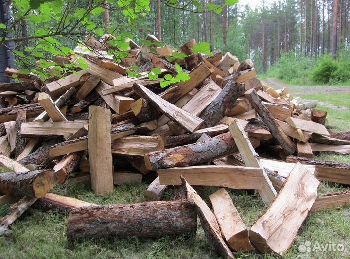 Дрова дуб