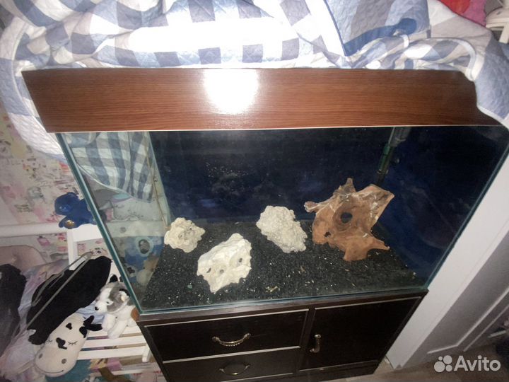 Аквариум с тумбой. 250 литров