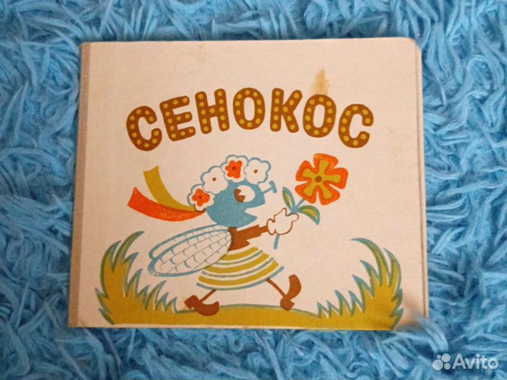 Книжка-раскладушка 