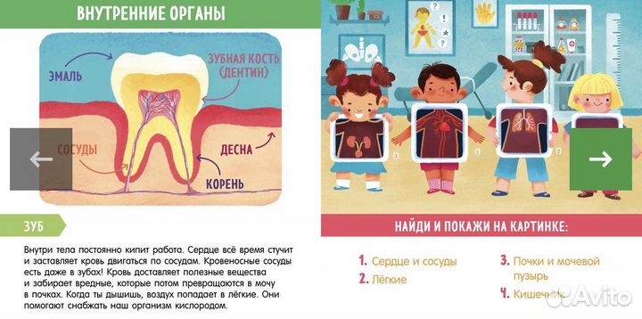 Новая книга по изучению тела