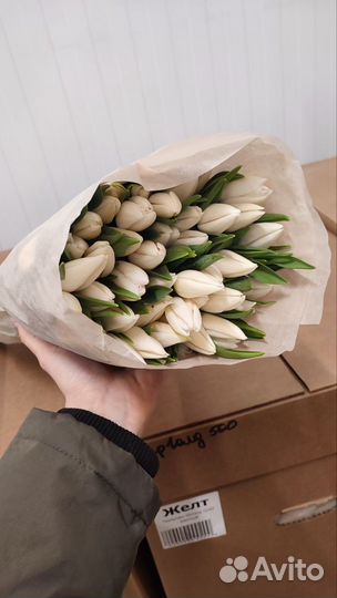 Тюльпаны с юга к 8 марта оптом