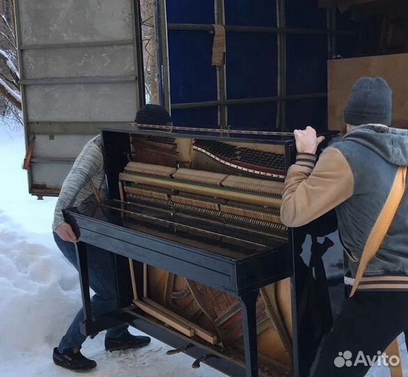 Услуги грузчиков грузчики Такелажники