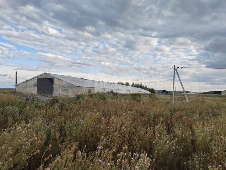 Продам производственное помещение, 990.45 м²