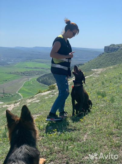 Курцхаар вязка