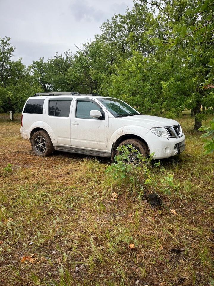 Nissan Pathfinder: фото владельца
