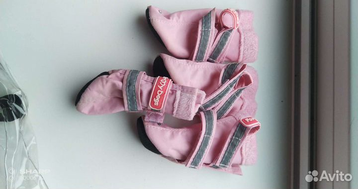 Обувь для собак