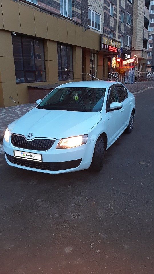 Skoda Octavia: фото владельца