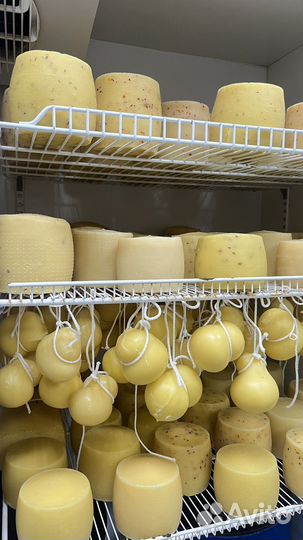 Работа посудомойщица