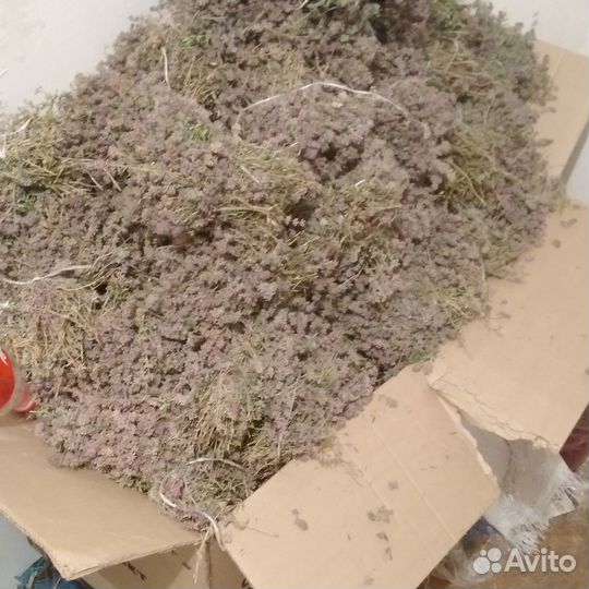 Лечебные травы душица чабрец мята и шиповник
