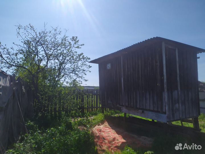 Апидомик с пчелами под ключ, пчелы, пасека