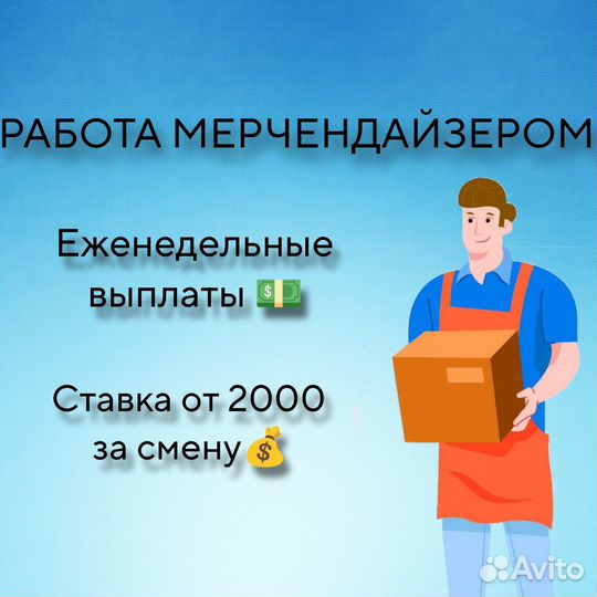 Мерчендайзер еженедельные выплаты