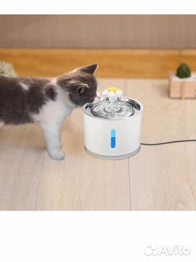 Электро поилка для кошек собак