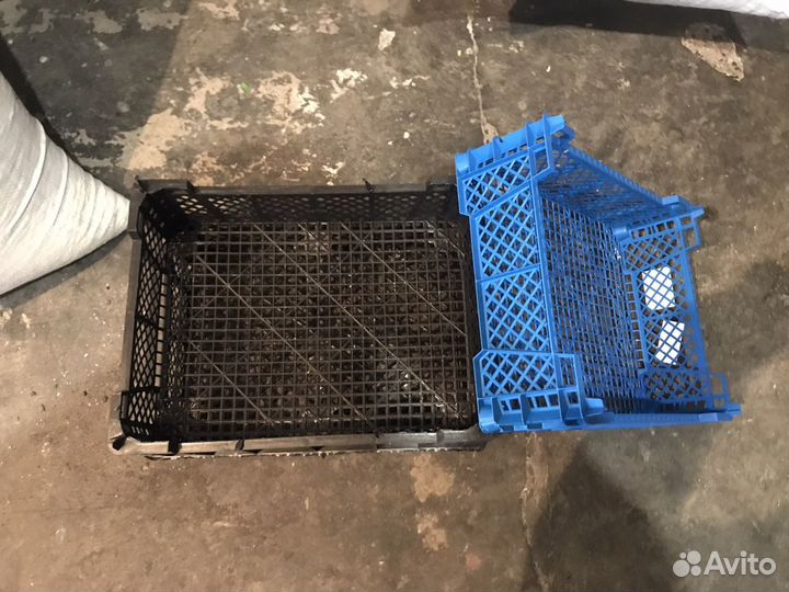 Ящики для бутылок, грибные, колбасные прием ящиков