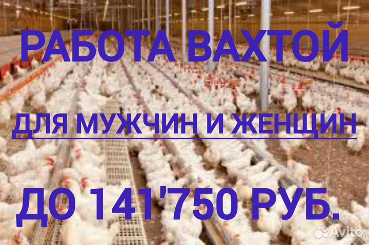 Оператор линии упаковки