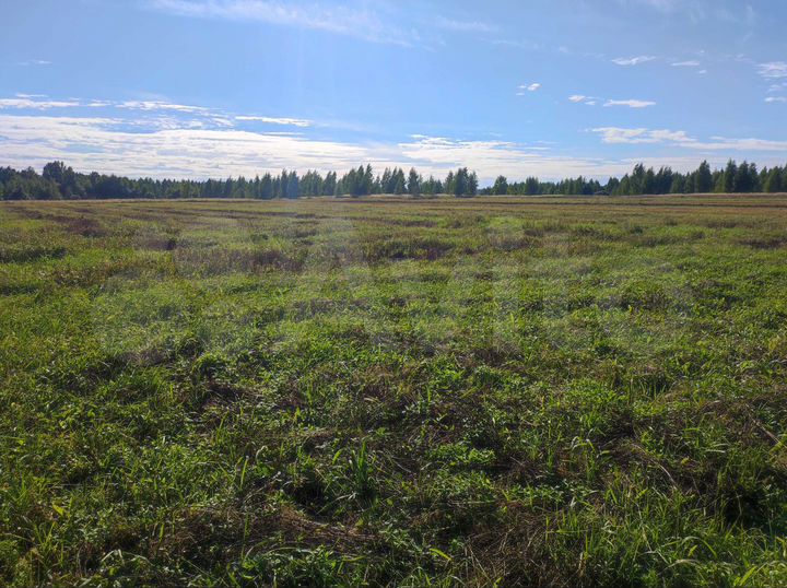 Участок 57 сот. (ИЖС)