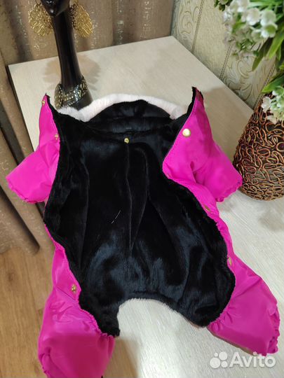 Вещи для животных