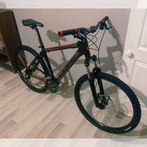 Cube analog comp 2011 hotsell