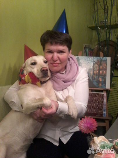 Передержка собак