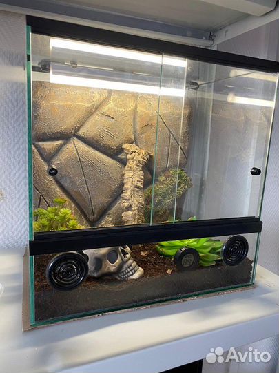 Обзорные террариумы